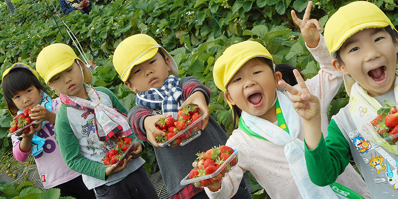 5月・いちご狩り