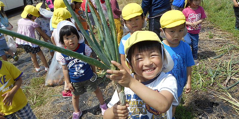 8月・夏野菜収穫