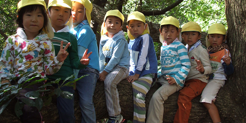 山歩きの足休め、横枝スゴい